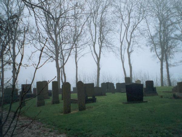 Wierhuizen kerkhof mist